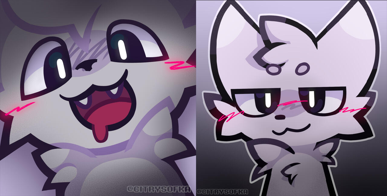 BOYKISSER PACK: $48 $45